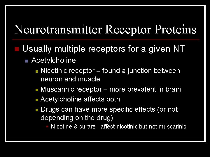 Neurotransmitter Receptor Proteins n Usually multiple receptors for a given NT n Acetylcholine n