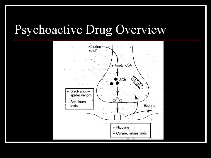 Psychoactive Drug Overview 