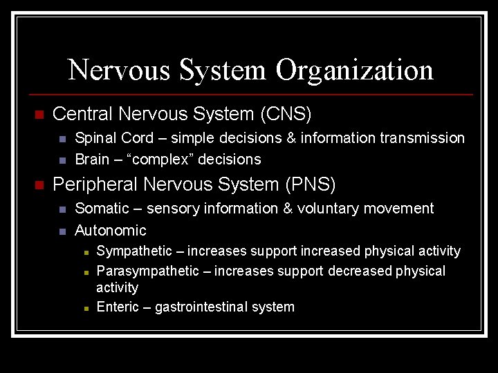 Nervous System Organization n Central Nervous System (CNS) n n n Spinal Cord –