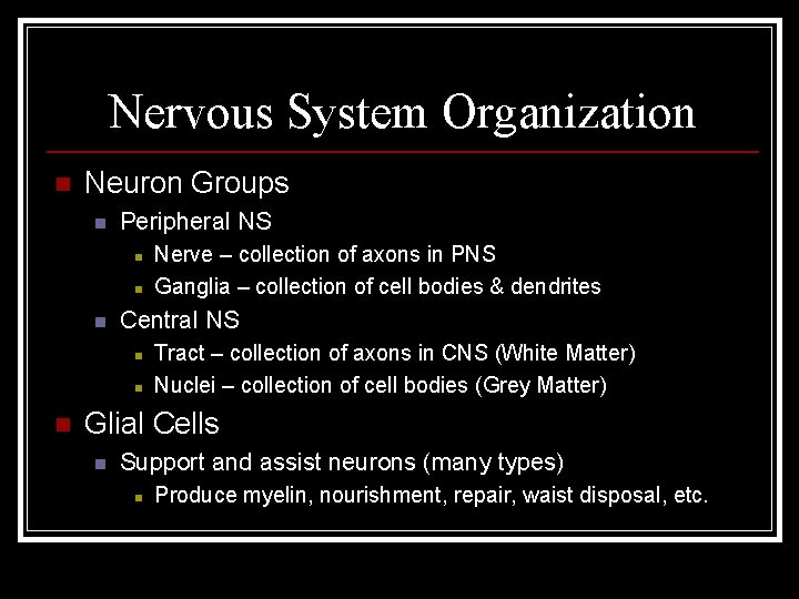 Nervous System Organization n Neuron Groups n Peripheral NS n n n Central NS