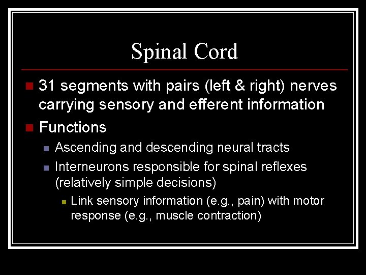 Spinal Cord 31 segments with pairs (left & right) nerves carrying sensory and efferent