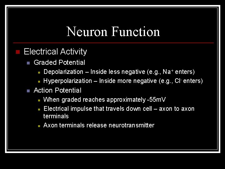 Neuron Function n Electrical Activity n Graded Potential n n n Depolarization – Inside