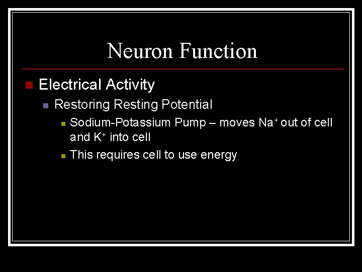 Neuron Function n Electrical Activity n Restoring Resting Potential n n Sodium-Potassium Pump –