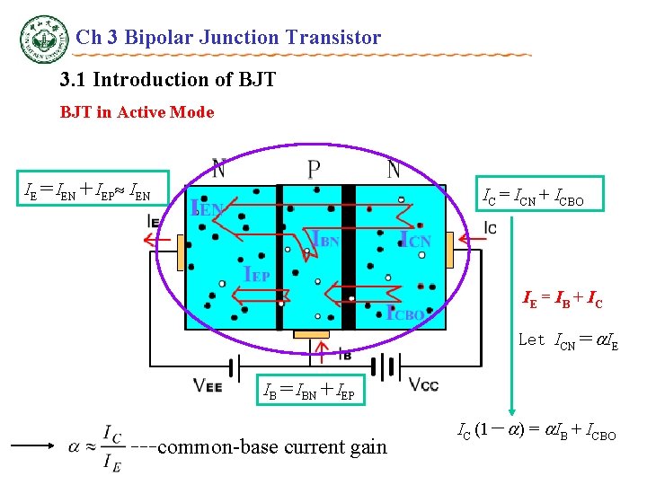 Ch 3 Bipolar Junction Transistor 3. 1 Introduction of BJT in Active Mode IE＝IEN＋IEP