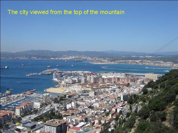 The city viewed from the top of the mountain 