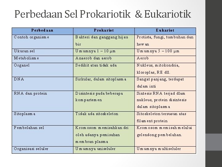 Perbedaan Sel Prokariotik & Eukariotik 