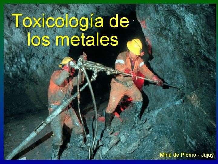 Toxicología de los metales Mina de Plomo - Jujuy 