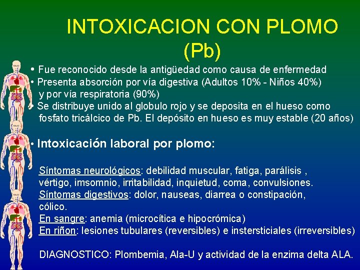 INTOXICACION CON PLOMO (Pb) • Fue reconocido desde la antigüedad como causa de enfermedad