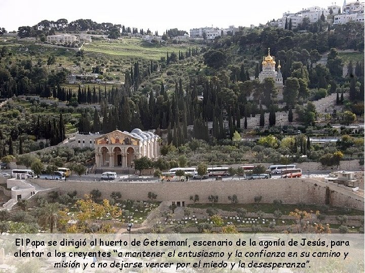 El Papa se dirigió al huerto de Getsemaní, escenario de la agonía de Jesús,
