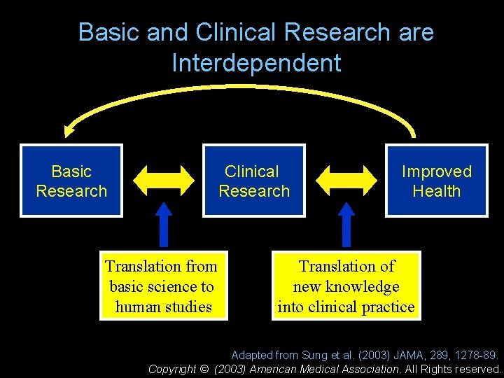 Basic and Clinical Research are Interdependent Basic Research Clinical Research Translation from basic science