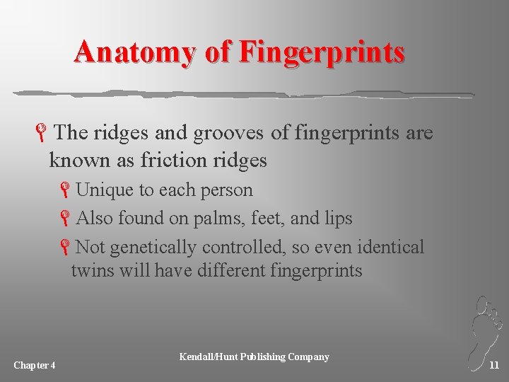 Anatomy of Fingerprints LThe ridges and grooves of fingerprints are known as friction ridges