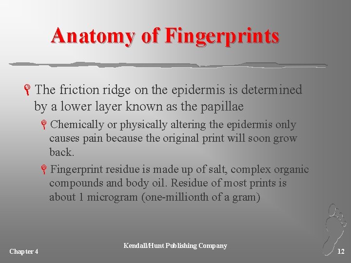 Anatomy of Fingerprints LThe friction ridge on the epidermis is determined by a lower