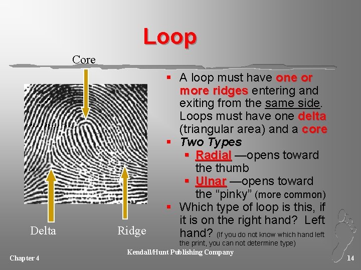 Loop Core Delta Chapter 4 Ridge § A loop must have one or more