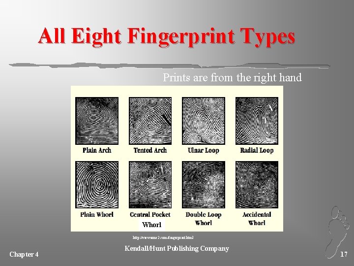 All Eight Fingerprint Types Prints are from the right hand Whorl http: //viewzone 2.