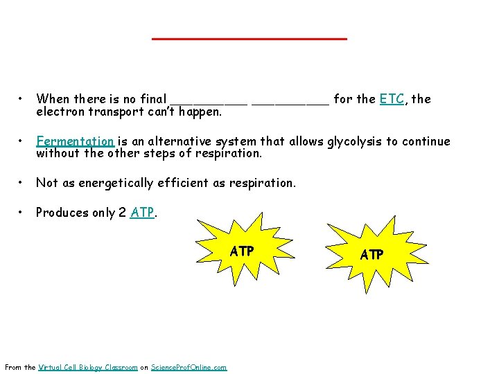 _______ • When there is no final __________ for the ETC, the electron transport