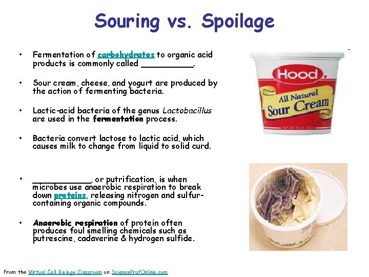 Souring vs. Spoilage • Fermentation of carbohydrates to organic acid products is commonly called