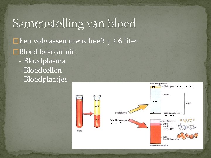 Samenstelling van bloed �Een volwassen mens heeft 5 á 6 liter �Bloed bestaat uit: