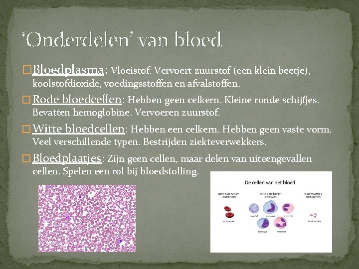 ‘Onderdelen’ van bloed �Bloedplasma: Vloeistof. Vervoert zuurstof (een klein beetje), koolstofdioxide, voedingsstoffen en afvalstoffen.