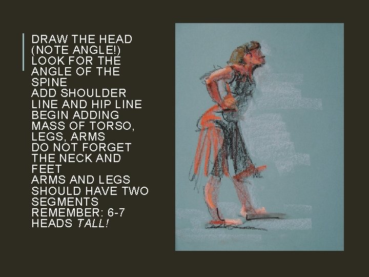 DRAW THE HEAD (NOTE ANGLE!) LOOK FOR THE ANGLE OF THE SPINE ADD SHOULDER DRAW THE HEAD (NOTE ANGLE!) LOOK FOR THE ANGLE OF THE SPINE ADD SHOULDER