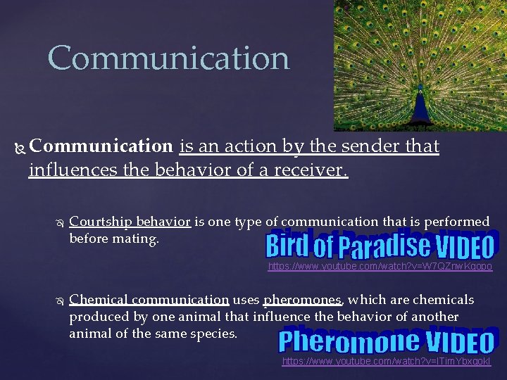 Communication is an action by the sender that influences the behavior of a receiver.