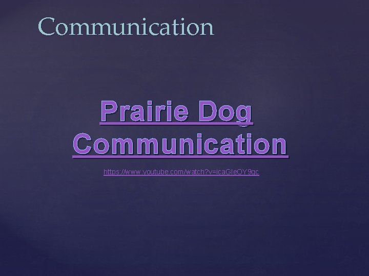 Communication Prairie Dog Communication https: //www. youtube. com/watch? v=ica. GIe. OY 9 gc 