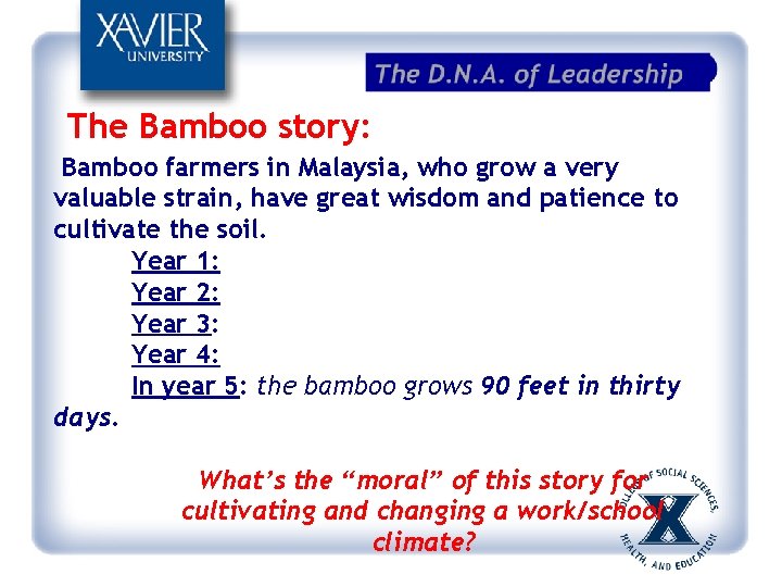 The Bamboo story: Bamboo farmers in Malaysia, who grow a very valuable strain, have