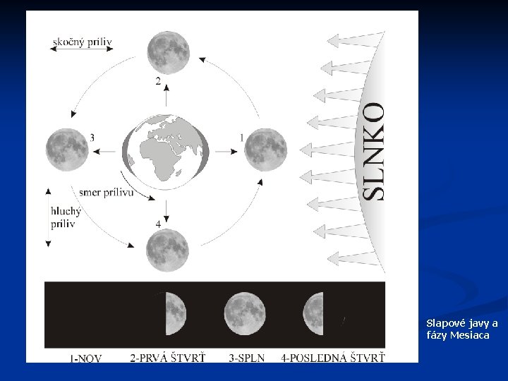 Slapové javy a fázy Mesiaca 