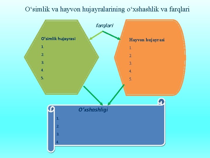 O‘simlik va hayvon hujayralarining o‘xshashlik va farqlari O’simlik hujayrasi Hayvon hujayrasi 1. 2. 3.