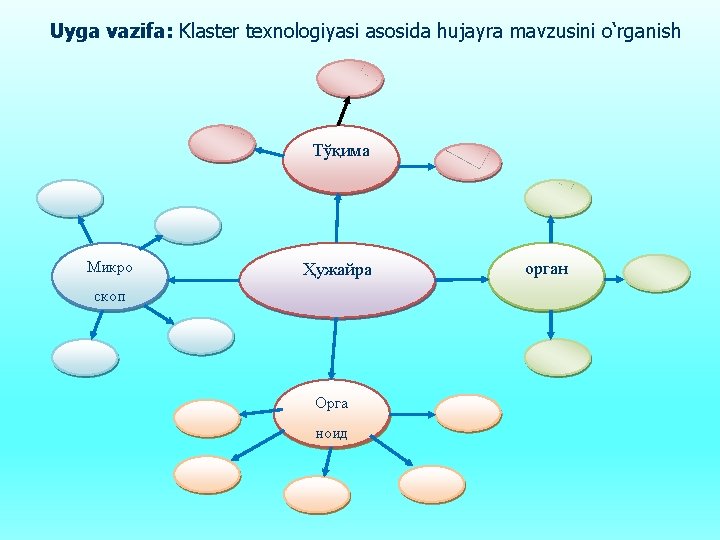 Uyga vazifa: Klaster texnologiyasi asosida hujayra mavzusini o‘rganish Тўқима Микро Ҳужайра скоп Орга ноид