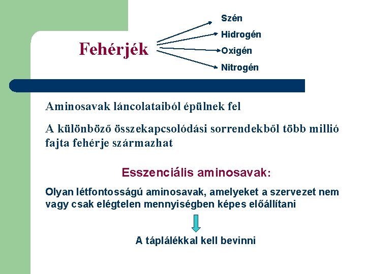 Szén Fehérjék Hidrogén Oxigén Nitrogén Aminosavak láncolataiból épülnek fel A különböző összekapcsolódási sorrendekből több