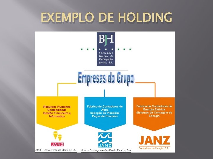 EXEMPLO DE HOLDING 