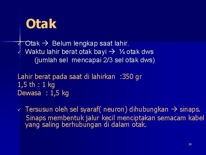 Otak ü ü Otak Belum lengkap saat lahir. Waktu lahir berat otak bayi ¼