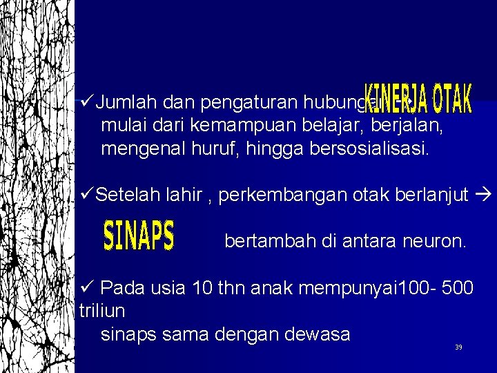 üJumlah dan pengaturan hubungan mulai dari kemampuan belajar, berjalan, mengenal huruf, hingga bersosialisasi. üSetelah