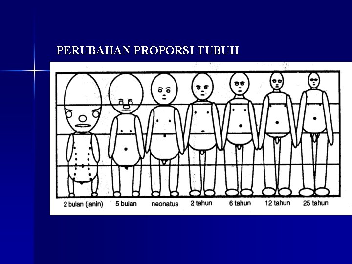 PERUBAHAN PROPORSI TUBUH 