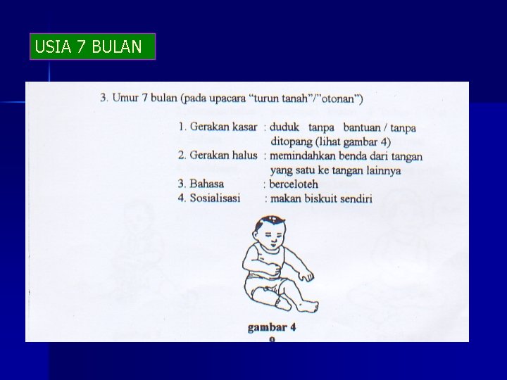 USIA 7 BULAN 