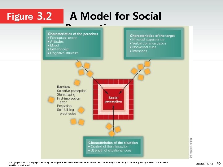 Figure 3. 2 A Model for Social Perception Copyright © 2017 Cengage Learning. All