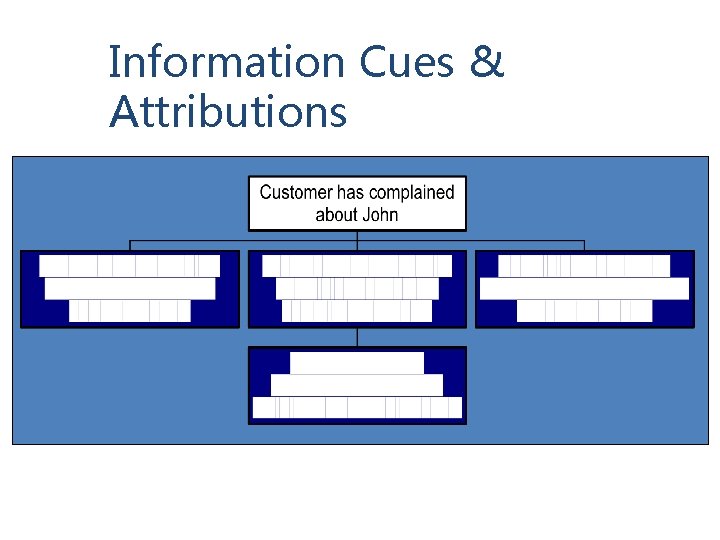 Information Cues & Attributions 