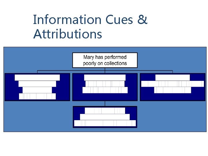Information Cues & Attributions 