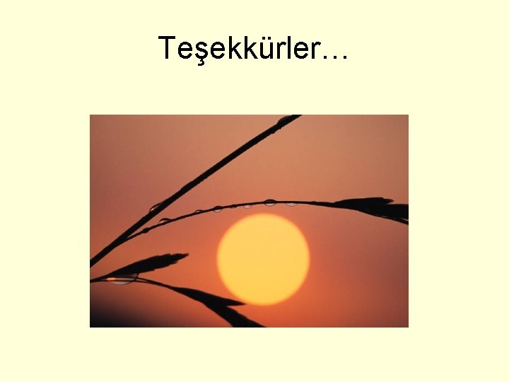 Teşekkürler… 