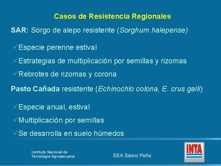 Casos de Resistencia Regionales SAR: Sorgo de alepo resistente (Sorghum halepense) üEspecie perenne estival