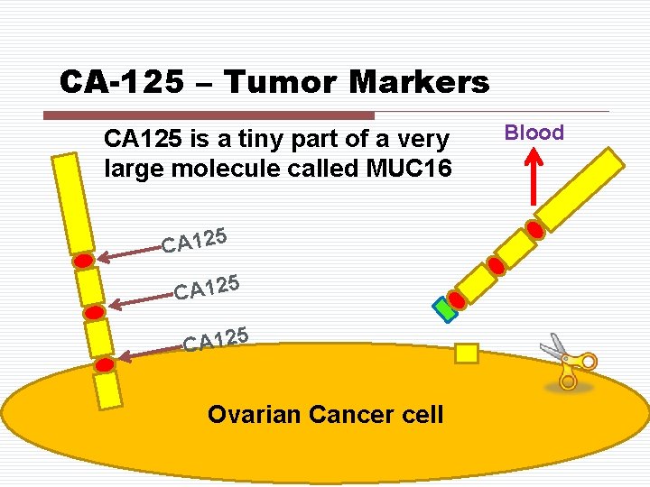 CA-125 – Tumor Markers CA 125 is a tiny part of a very large