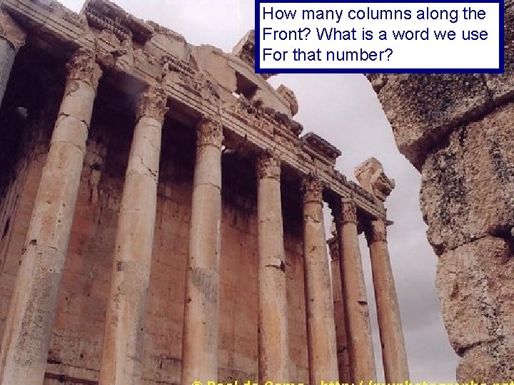 How many columns along the Front? What is a word we use For that