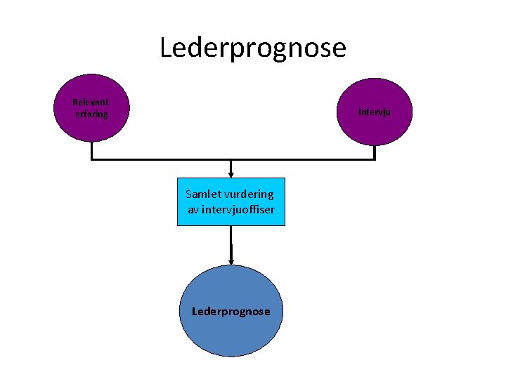 Lederprognose Relevant erfaring Intervju Samlet vurdering av intervjuoffiser Lederprognose 