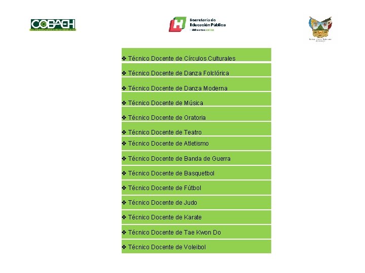 v Técnico Docente de Círculos Culturales v Técnico Docente de Danza Folclórica v Técnico