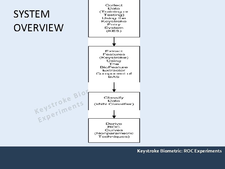 SYSTEM OVERVIEW O R : c i tr e m o i B e