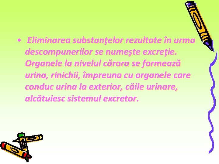 • Eliminarea substanţelor rezultate în urma descompunerilor se numeşte excreţie. Organele la nivelul • Eliminarea substanţelor rezultate în urma descompunerilor se numeşte excreţie. Organele la nivelul