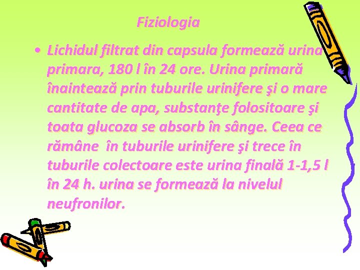 Fiziologia • Lichidul filtrat din capsula formează urina primara, 180 l în 24 ore. Fiziologia • Lichidul filtrat din capsula formează urina primara, 180 l în 24 ore.