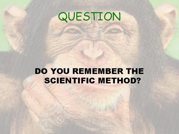 QUESTION DO YOU REMEMBER THE SCIENTIFIC METHOD? 