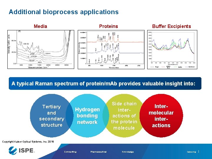 Additional bioprocess applications Proteins Media Buffer Excipients A typical Raman spectrum of protein/m. Ab