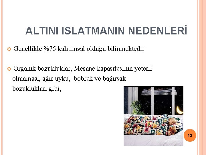 ALTINI ISLATMANIN NEDENLERİ Genellikle %75 kalıtımsal olduğu bilinmektedir Organik bozukluklar; Mesane kapasitesinin yeterli olmaması,